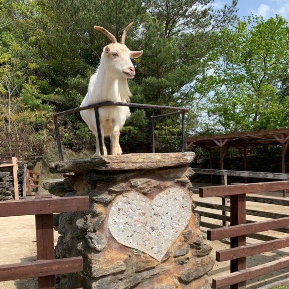 Meet your Posher - Picture 1 of 1